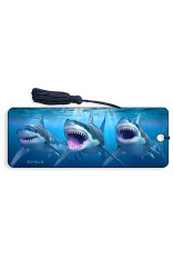 Royce Bookmark - Great White Sharks (6 Pack)