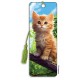 Artgame Bookmark - Summer Kitten (6 Pack)