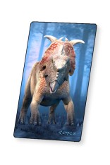 Dinosaur Fact Cards - Blue (Each)