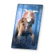 Dinosaur Fact Cards - Blue (Each)