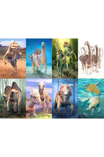 Dinosaur Fact Cards - Blue (Each)