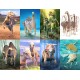 Dinosaur Fact Cards - Blue (Each)