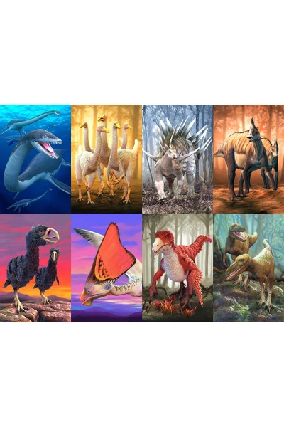Dinosaur Fact Cards - Blue (Each)