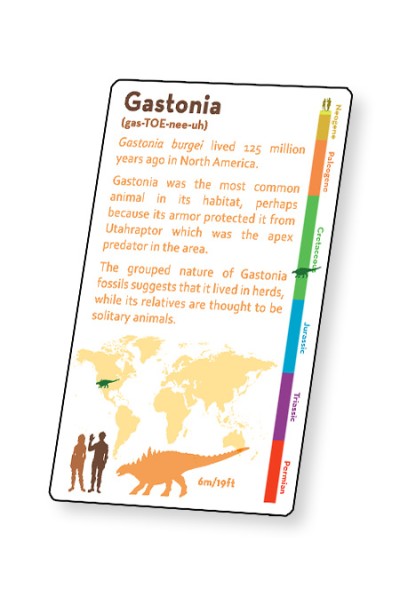 Dinosaur Fact Cards - Green (Each)