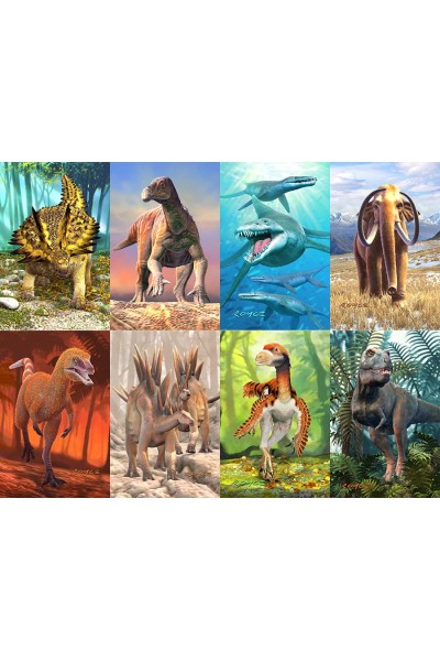 Dinosaur Fact Cards - Green (Each)