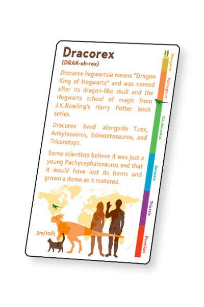 Dinosaur Fact Cards - Red (Each)
