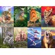 Dinosaur Fact Cards - Red (Each)