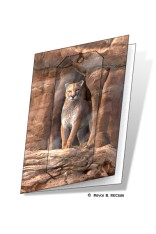 Royce Gift Card - Cougar (5 Pack)