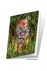Royce Gift Card - Tiger Trouble (5 Pack)