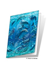 Royce Gift Card - Dolphins (5 Pack)