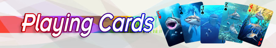 PLAYING CARDS