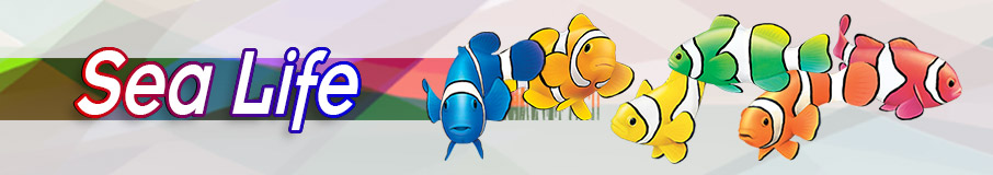 SEA LIFE