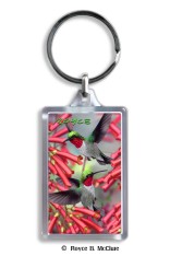 Royce Keyring - Hummingbirds (6 Pack)
