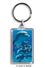 Royce Keyring - Dolphins (6 Pack)