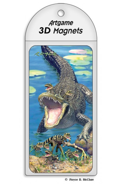 Royce Magnet - Gators (4 Pack)