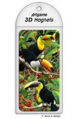 Royce Magnet - Toucan (4 Pack)