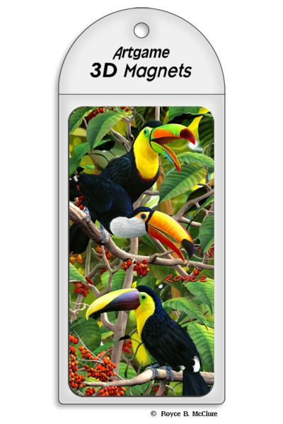 Royce Magnet - Toucan (4 Pack)