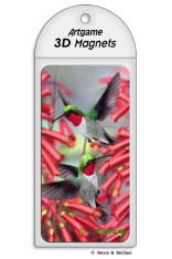 Royce Magnet - Hummingbirds (4 Pack)