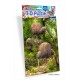 Royce 60pc Mini Puzzle - Kiwi (4 Pack)
