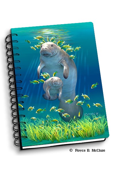 Royce Small Notebook - Manatee (4 Pack)
