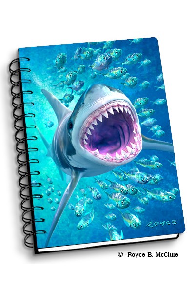 Royce Small Notebook - Shark Tunnel (4 Pack)