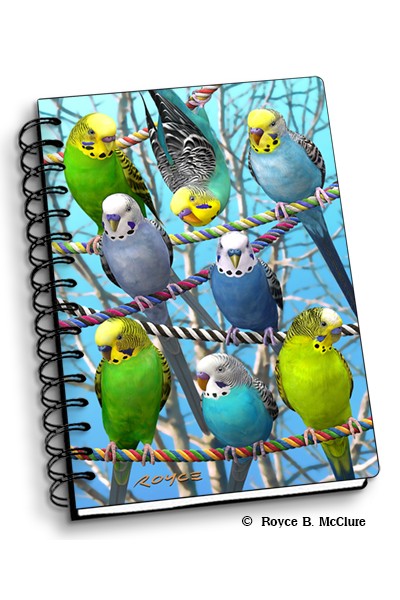 Royce Small Notebook - Budgies (4 Pack)
