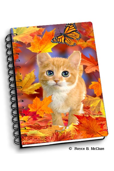 Royce Small Notebook - Fall Kitten (4 Pack)