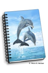 Royce Small Notebook - Dolphin Jumpers (4 Pack)