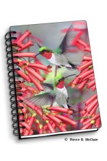 Royce Small Notebook - Hummingbirds (4 Pack)