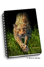 Royce Small Notebook - Leopard (4 Pack)