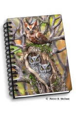 Royce Small Notebook - Owls (4 Pack)