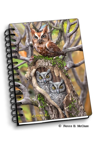 Royce Small Notebook - Owls (4 Pack)