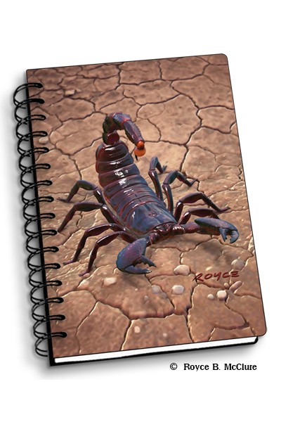Royce Small Notebook - Scorpion (4 Pack)