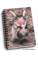 Royce Small Notebook - Styracosaurus (4 Pack)