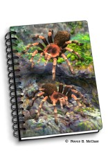 Royce Small Notebook - Tarantulas (4 Pack)