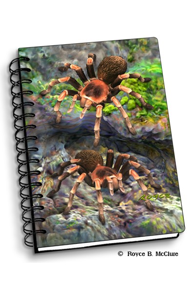 Royce Small Notebook - Tarantulas (4 Pack)