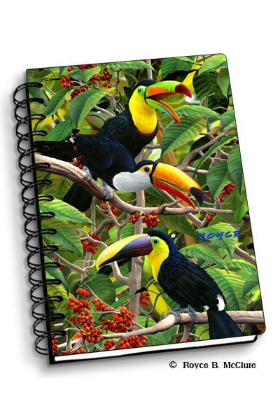 Royce Small Notebook - Toucans (4 Pack)