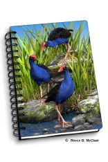 Royce Small Notebook - Wet Feet (4 Pack)