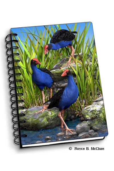 Royce Small Notebook - Wet Feet (4 Pack)