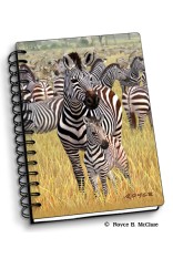 Royce Small Notebook - Zebras (4 Pack)