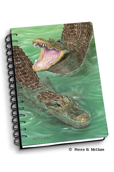 Royce Small Notebook - Swamp Gators (4 Pack)