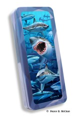 Royce Pencil Tin - Sharks 