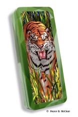 Royce Pencil Tin - Tiger Trouble 