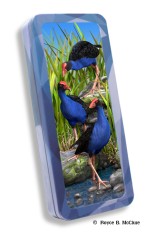 Royce Pencil Tin - Wet Feet