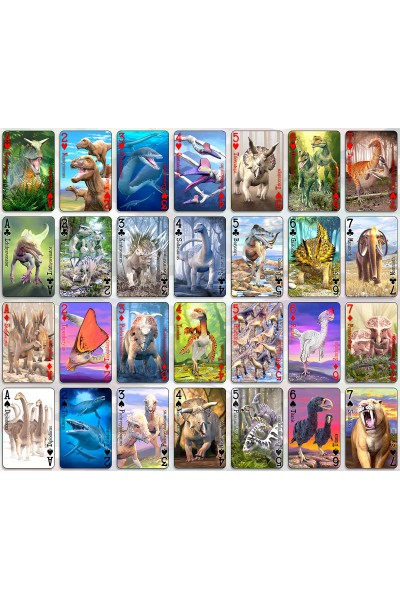PLAYING CARDS -24 Deck Dinosaur Card Display - FILLED