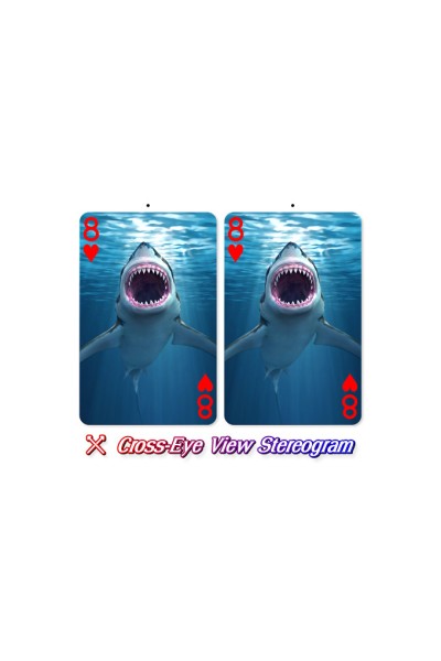 PLAYING CARDS - 12 PACK SHARK