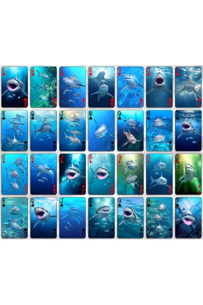 PLAYING CARDS -24 Deck Shark Card Display - FILLED