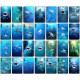 PLAYING CARDS -24 Deck Shark Card Display - FILLED