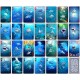 PLAYING CARDS -24 Deck Shark Card Display - FILLED