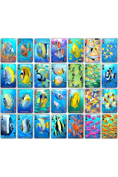 PLAYING CARDS -24 Deck Tropical Fish Card Display -FILLED